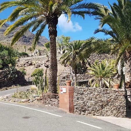 Villa De Cactualdea San Nicolás エクステリア 写真